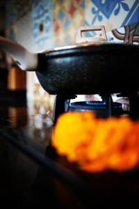 Panorama Paddy Paradise