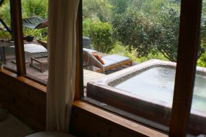 Enchanted Waterfall Sanctuary