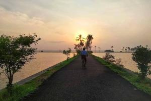 Island Retreat Vypin Entire Space