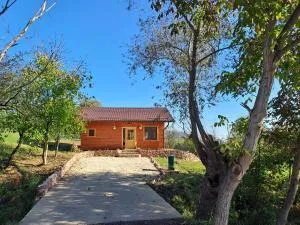 Cabana Laura - Băgaciu