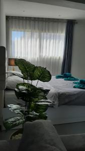 Hurghada Ägypten Scandic Resort