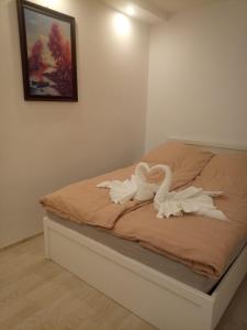 Apartament u Ani