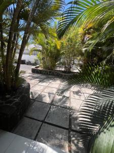 Appartement Baobab 2