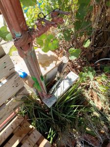 VILLALoddo2 sud Tertenia img34