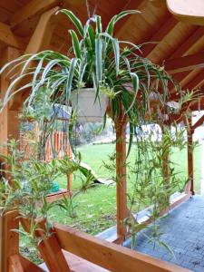 Apartamenty Nad Rzeką