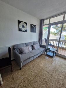 apartamento Alma
