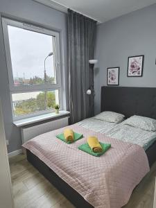 Urban Jungle - Grey Apartment