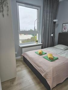 Urban Jungle - Grey Apartment