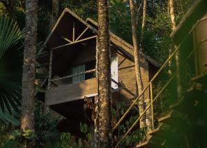 PANCHAVADI FARM STAY