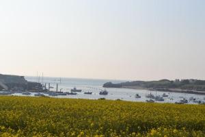 Gîte entre terre et mer à Plouarzel
