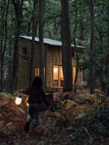 Youza ecolodge cabanes dans les arbres