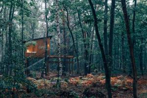 Youza ecolodge cabanes dans les arbres