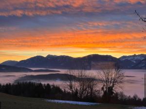 Rosenholz Ferienhäuser