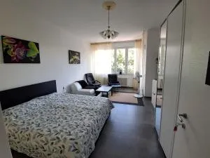 Guesthouse Ostello dell Arte 'Fiore' - 卡尼洛瑞维拉