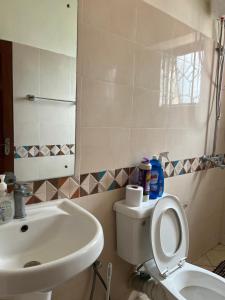 beautifully furnished one bedroom apartment in vok off nyali road