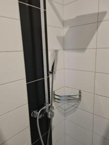 Ferienwohnung Ostseeblick am Breitling Whg 5