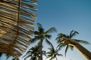 VentoVinte Beach Club Tents