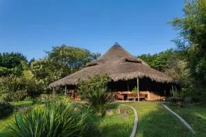 Yolitia Wellness - Zamayoa