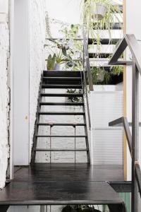 Lightful architectural house