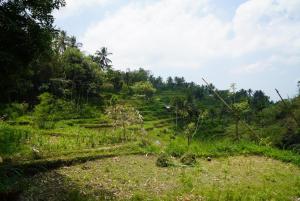 Tetebatu Indah Homestay