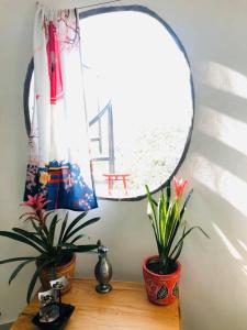 Spectacular views from the loft