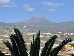 Apartamento en Tenerife - Alcalá - con vistas al Teide