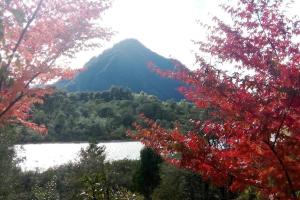 cabaña en la naturaleza