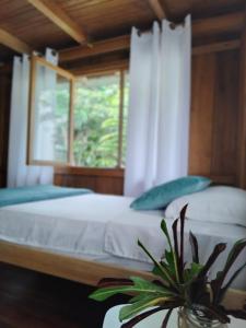 The Temple III, Mindo