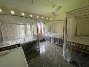 Slow Living Guesthouse and Hostel