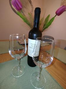 Ioannis Apartment
