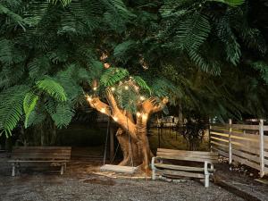 De Las Santas Camper