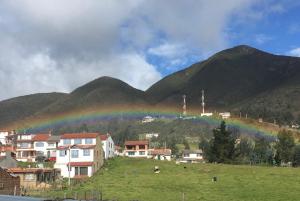 Buenavista Mox