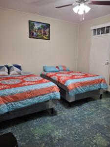 Hostal primaveras nest centro santa ana