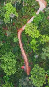 Navut Homestay - Serenity Among Coffee Plantations