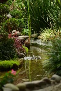 Las Cumbre Hotel & Spa Termal