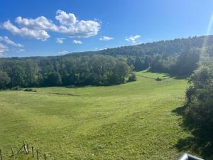 Harmonie Chalain Appartements : photos des chambres