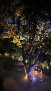 B&B / Chambres d'hotes Villa Francine : Chambre Double - Vue sur Jardin