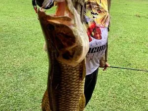 Casa de Campo #Rancho pela saco - 马夫拉