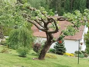 Ubytování Iris - Svatý Kopeček