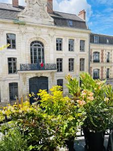 Appartements Cosy chic, raffine et spacieux en hyper centre : photos des chambres