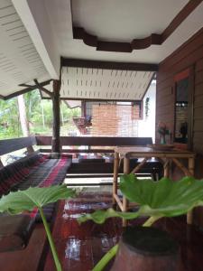 joli petite maison jungle