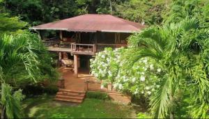 Hotel Ceiba Bonga