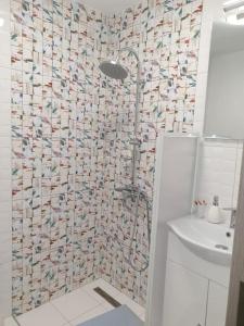 Housing VaduCrisului casa GenySa