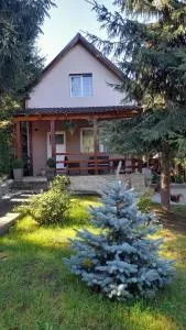 Andilak vendégház - Sîntimbru-Băi