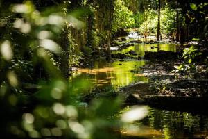Apartamento em Camorim - Rock in Rio - Praia Recreio - Bienal