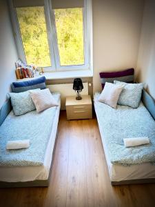 43m2 Apartament Saski- Blisko Starówki i Dworca Centralnego- Elektoralna 19a