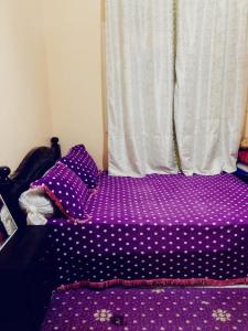 إقامة الدشيرة الجهادية