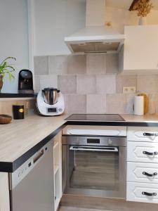 Appartements Sous les toits de Millau - Appartement cosy et chaleureux : photos des chambres