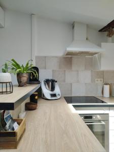 Appartements Sous les toits de Millau - Appartement cosy et chaleureux : photos des chambres