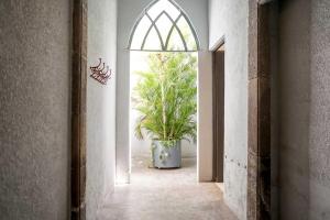 Departamento Morelos SLP Centro Historico